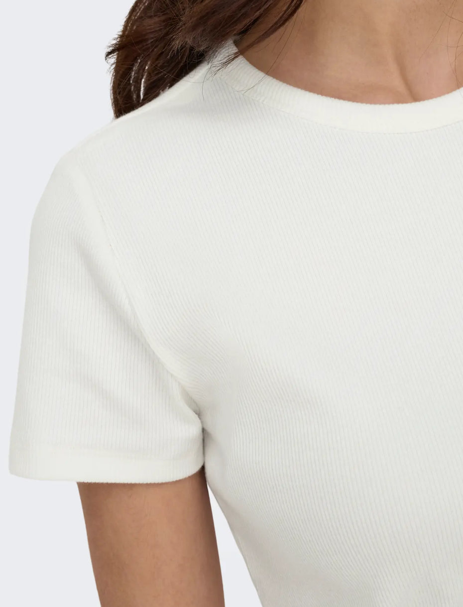 JDY rib bluse med lille ærme